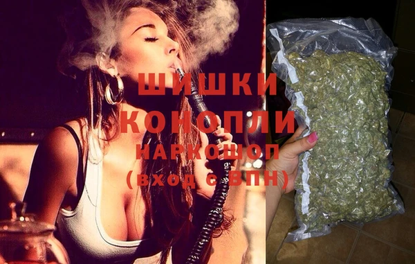 шишки Алексин