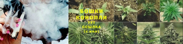стаф Горнозаводск