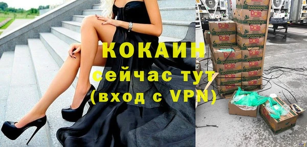 шишки Алексин
