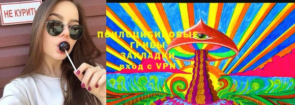 крисы Горняк