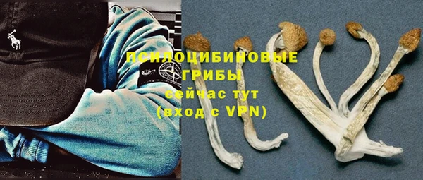 шишки Алексин