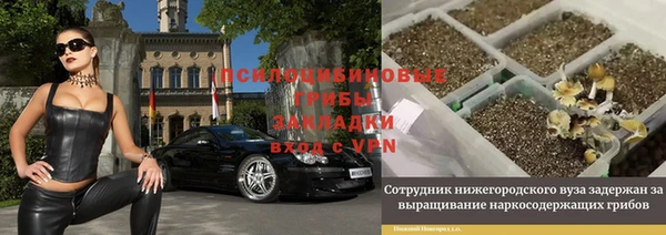 каннабис Алексеевка