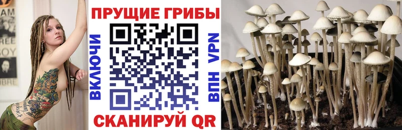 Галлюциногенные грибы мухоморы  где можно купить   Навашино 